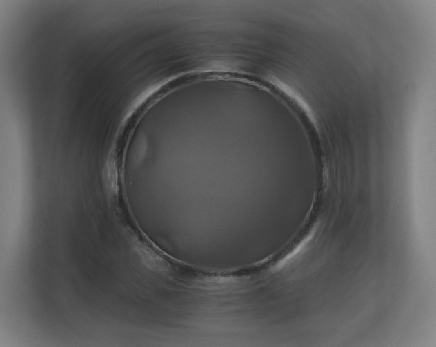 X0000110990925200906261446