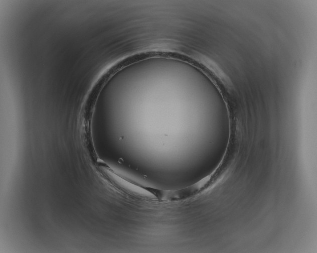 X0000110990926200906261446