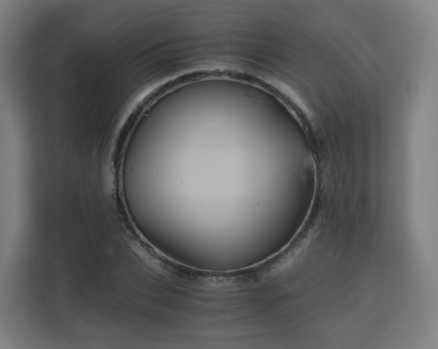 X0000110990927200906261446