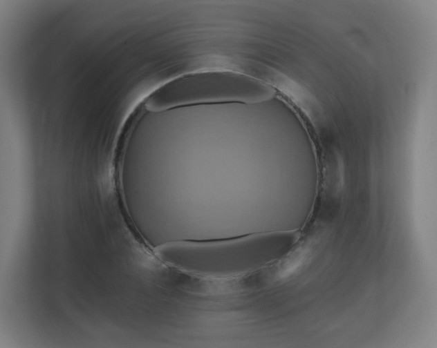 X0000110990928200906261446