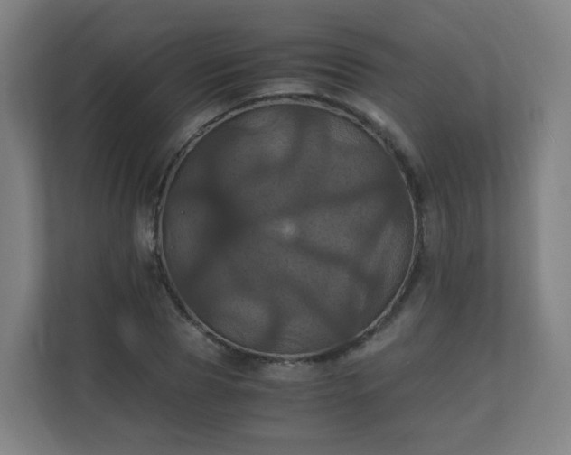 X0000110990929200906261446