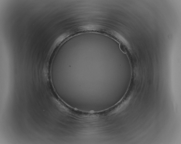 X0000110990930200906261446