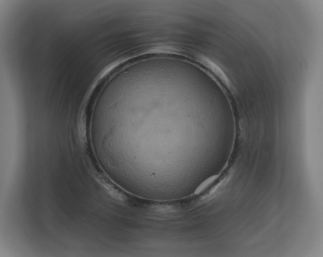 X0000110990931200906261446