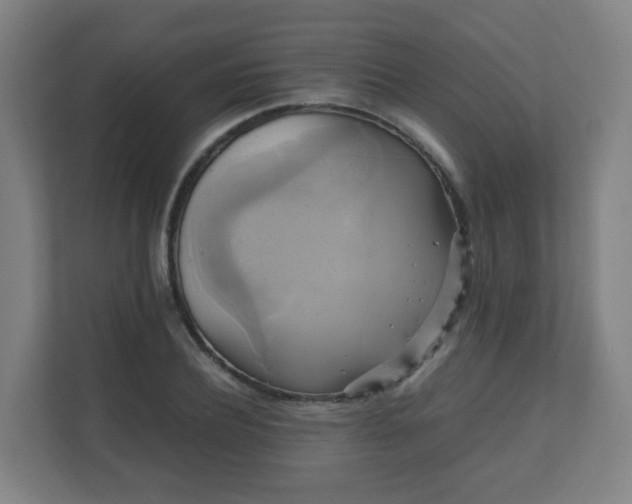 X0000110990932200906261446