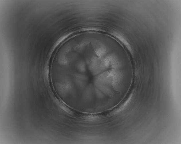 X0000110990933200906261447