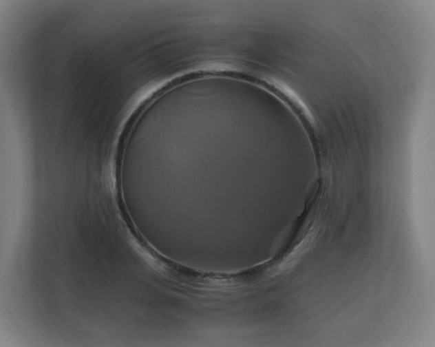 X0000110990935200906261447