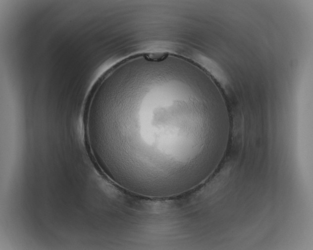 X0000110990936200906261447