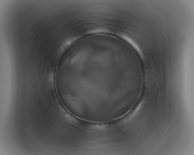 X0000110990937200906261447