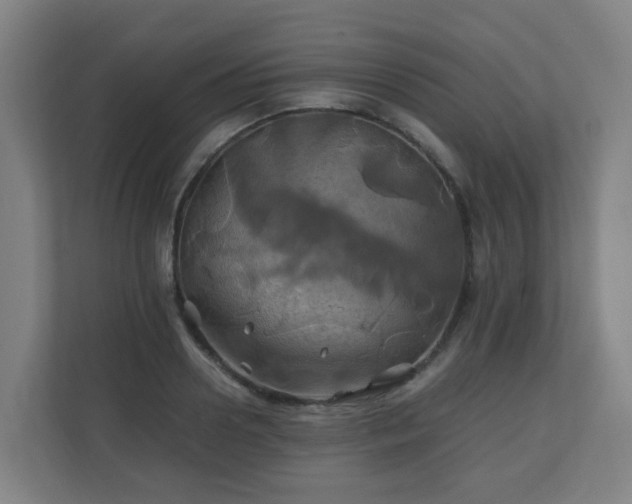 X0000110990938200906261447