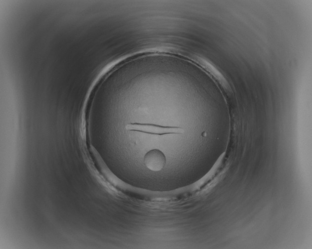 X0000110990940200906261447
