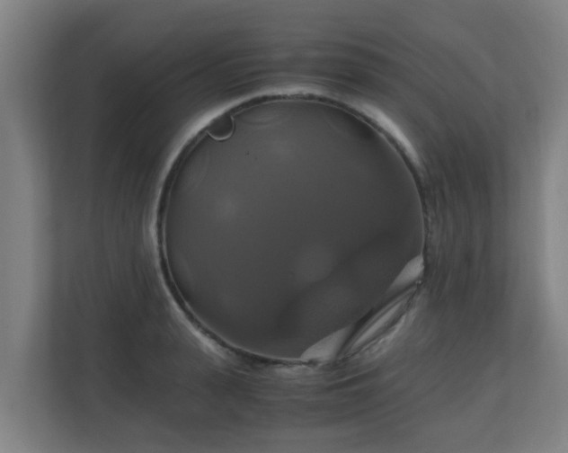 X0000110990943200906261447