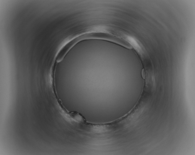 X0000110990944200906261447