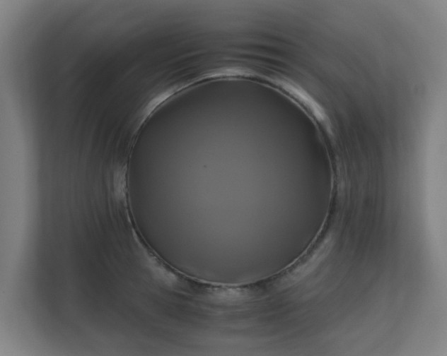 X0000110990945200906261447