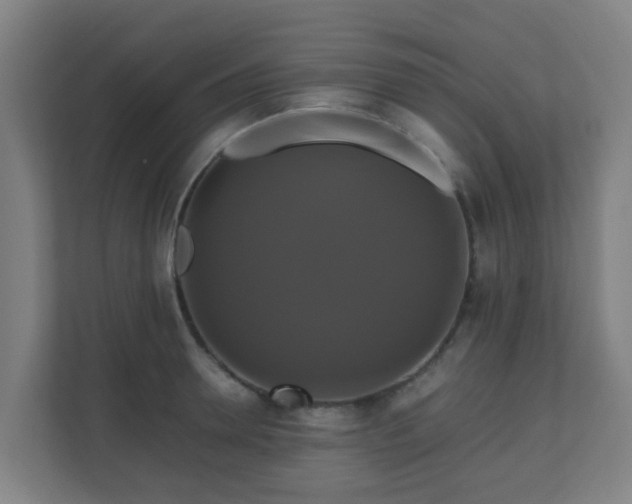 X0000110990946200906261447
