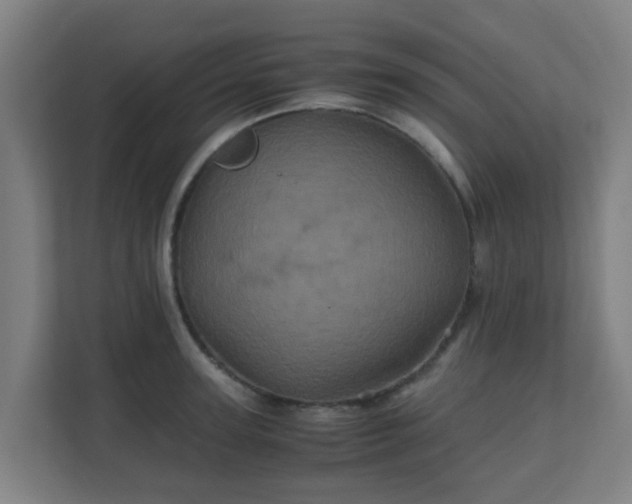 X0000110990947200906261447