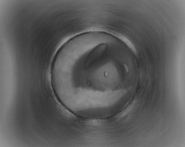 X0000110990950200906261447