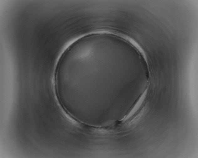 X0000110990951200906261447