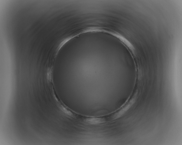 X0000110990953200906261447
