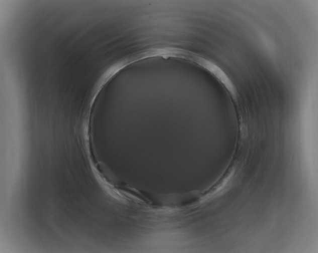 X0000110990954200906261447