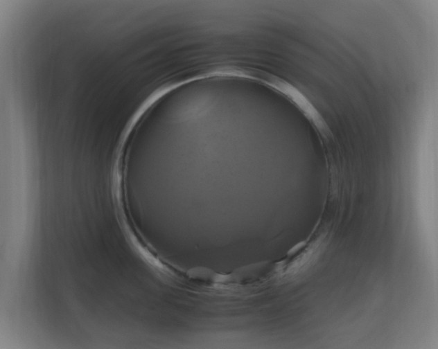 X0000110990955200906261447