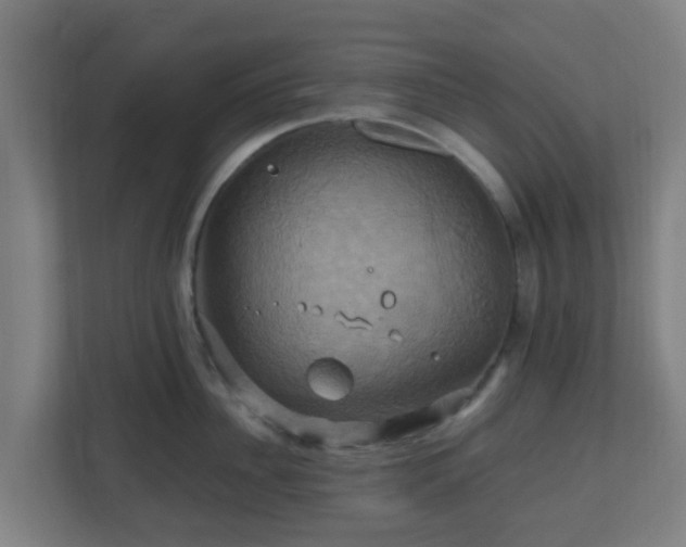 X0000110990956200906261447