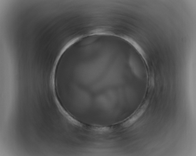 X0000110990957200906261447