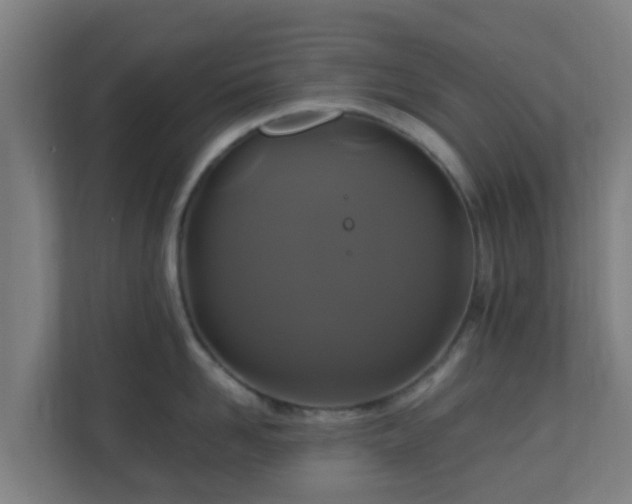 X0000110990958200906261447
