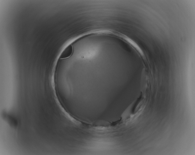 X0000110990959200906261447