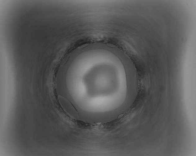 X0000110990961200906261446