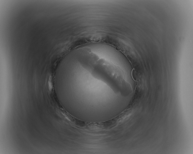 X0000110990962200906261446