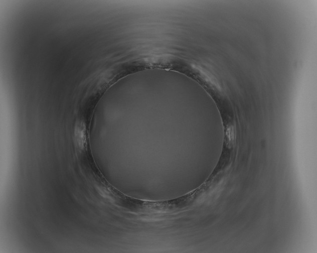 X0000110990963200906261446