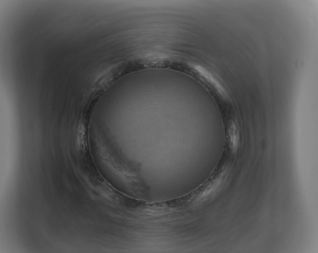 X0000110990964200906261446