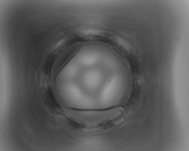 X0000110990965200906261446