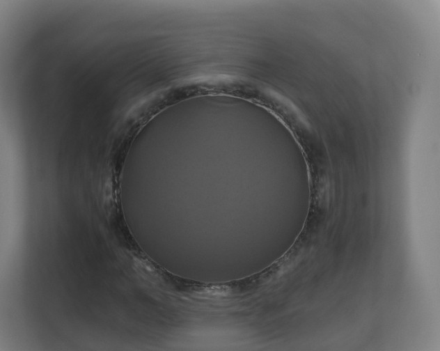 X0000110990966200906261446
