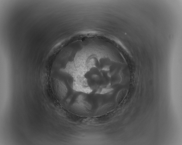 X0000110990967200906261446