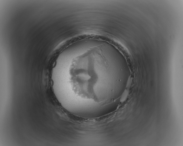 X0000110990968200906261446