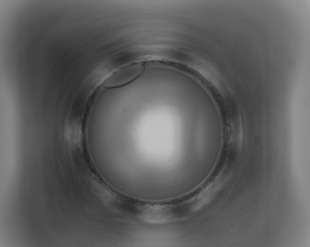 X0000110990969200906261446