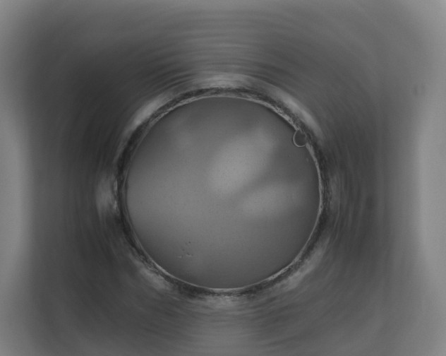 X0000110990970200906261446