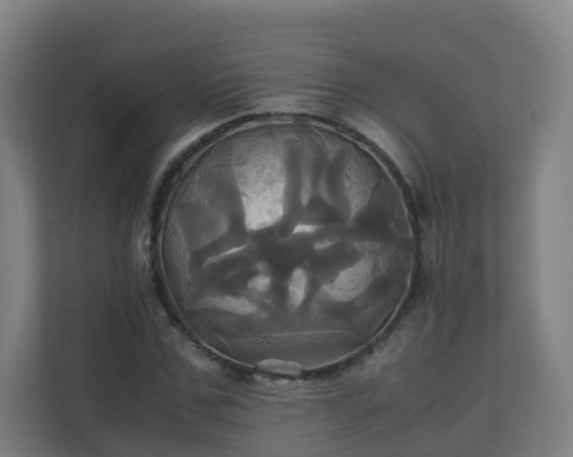X0000110990971200906261446