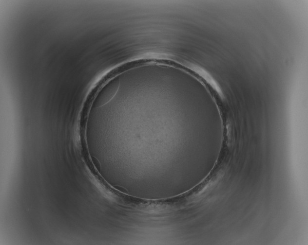 X0000110990972200906261446
