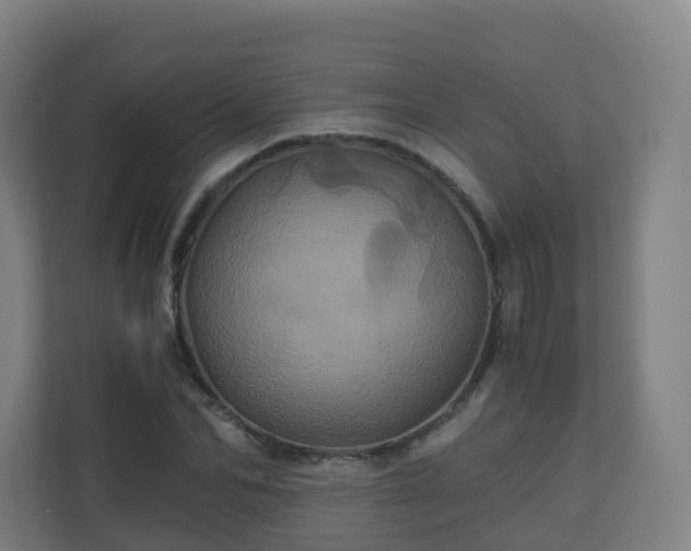 X0000110990974200906261446