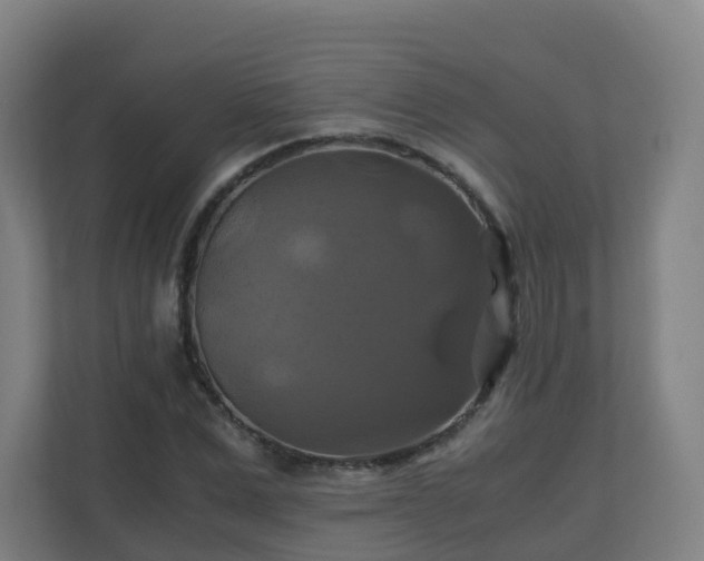 X0000110990975200906261446
