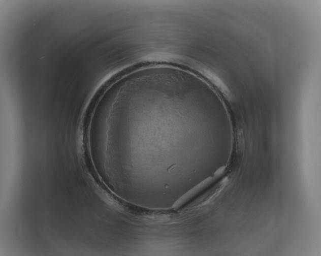 X0000110990976200906261446