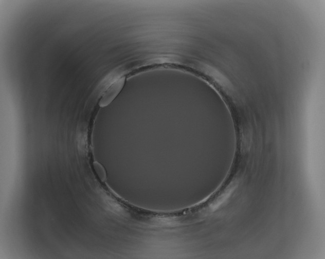 X0000110990977200906261446