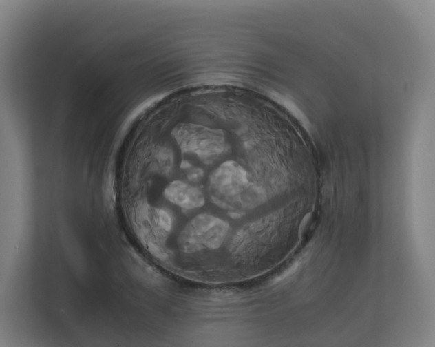 X0000110990979200906261446