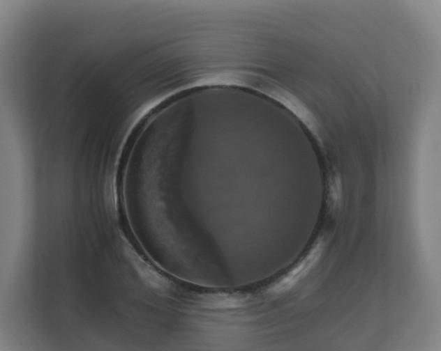 X0000110990980200906261446