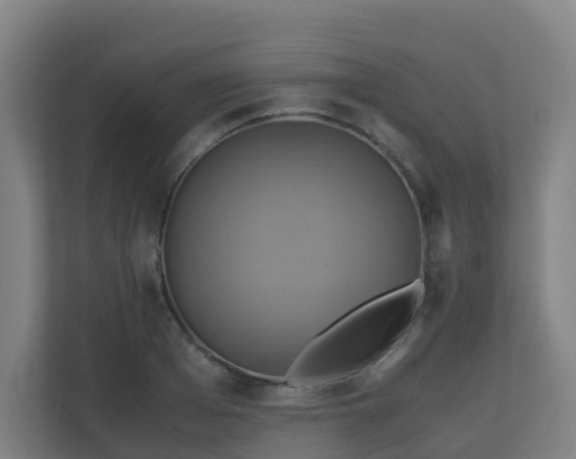 X0000110990985200906261446