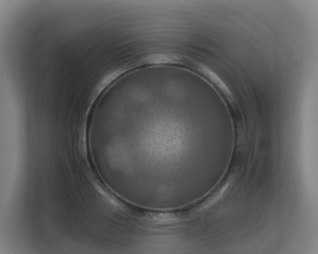 X0000110990986200906261446