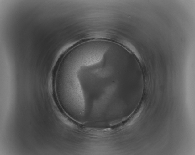 X0000110990987200906261446