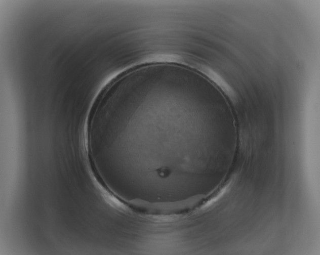 X0000110990988200906261446